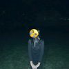 ad_ell04