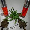 peletjarakjauh99