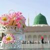 qadeer.ahmad250