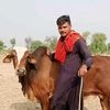 yaseen3506