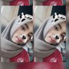 ciiciyw