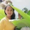 ytuongsusu1