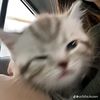 sleepykirks