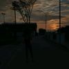 shantyh_14