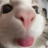 khflufkyduk