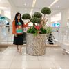 lovelia.amanda
