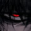 alexneverdie123