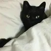 zoobidoobidoo3