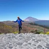 nando1.5