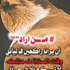 adiladiladiladil859