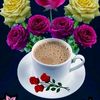 basma0186