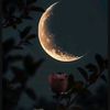 aygul2307