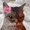 larajane232