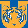 tigres2089