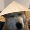 totally_not_viet