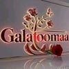 galmoo40