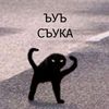medved_hahatun4