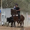 adrianoalves0833