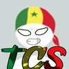 tcs27_4_8