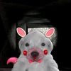 pinkiliciouse_