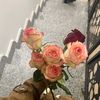 fatimamoftah83