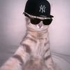alex_arreaga4