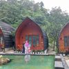 gitawandani2
