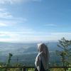 allfiuu