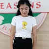 sansannwe751