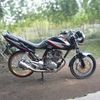 ali.wafa472
