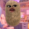 _ffzstrcn