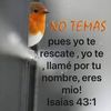 yule.riascos