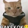 fay.s1zzen11