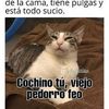anaalvarado854