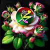 rizwan.badshah35