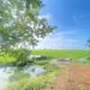 chhert.chhat4