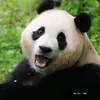 trangtrontria_xinhxinh