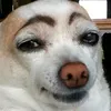 baosoclo2