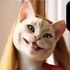 sayangkamuu25