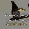 user7029676825831