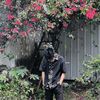 your_tom08