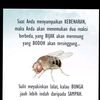 jelin2096
