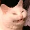 cunningmuning