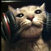 aint_editstz