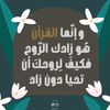 noor.eleslam11