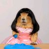 pompompurinbaby