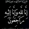 usar.hama1