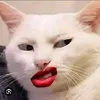 my.lng.dim