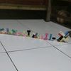 raffa.virza4