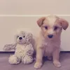 kailynnsmain